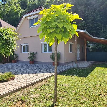 Vizparti Nyaralo Villa Fonyod Luaran gambar
