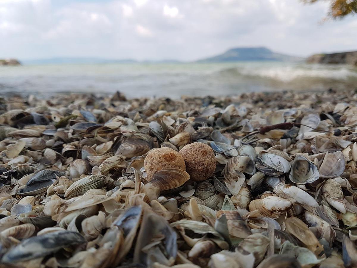 Vizparti Nyaralo Villa Fonyod Luaran gambar